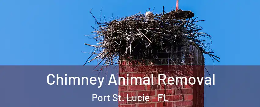  Chimney Animal Removal Port St. Lucie - FL