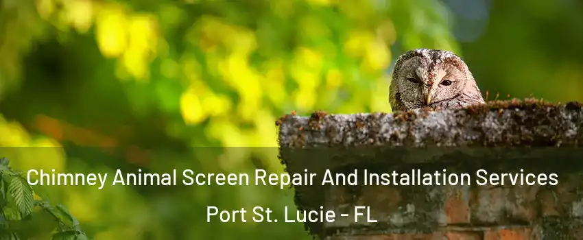  Chimney Animal Screen Repair And Installation Services Port St. Lucie - FL
